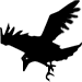 Raven-75