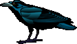Raven-SR