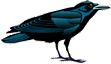 Raven.gif