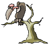 Vulture