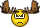 animals19